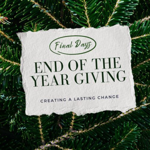 Why Your Year-End Gift Matters More Than Ever